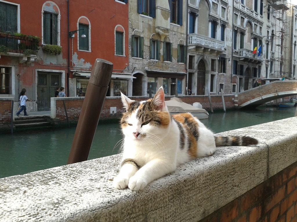 Foto 76